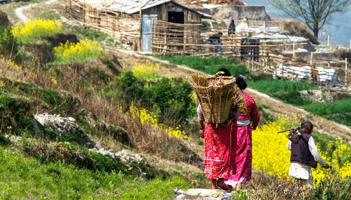 Nepal in November 2024 - Developing World Connections