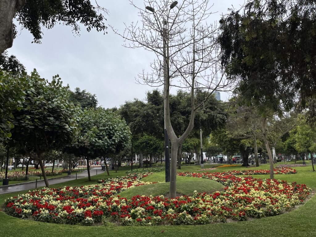 Tree and flower garden in Lima