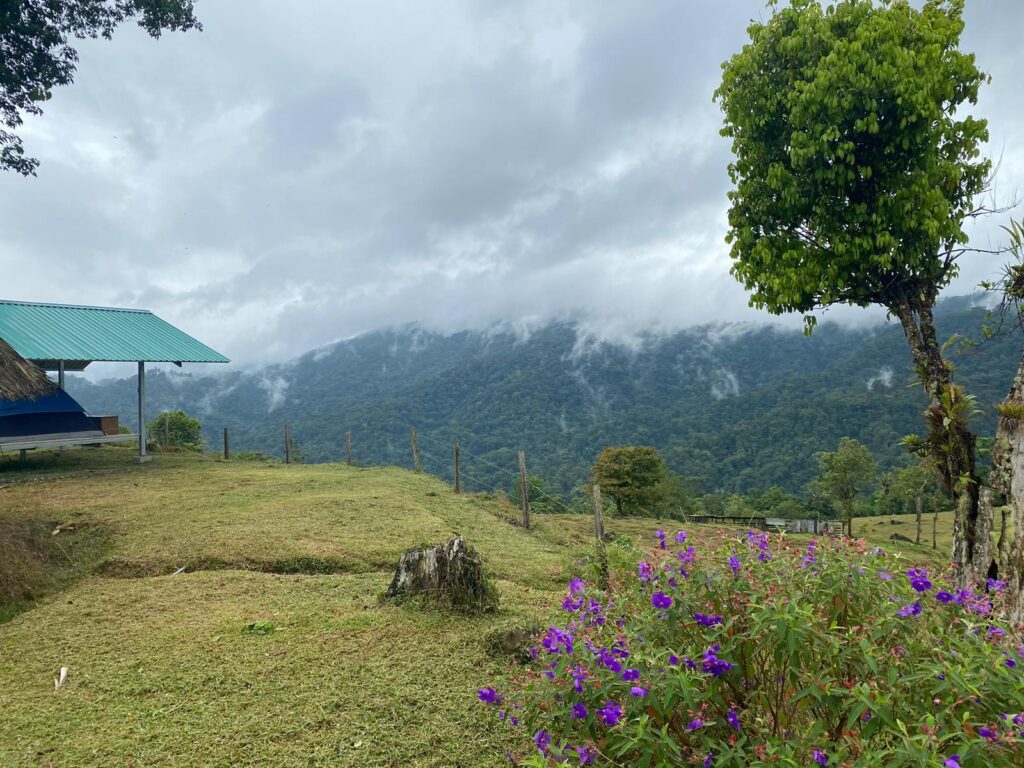 Overcast landscape vista of forest Costa Rica