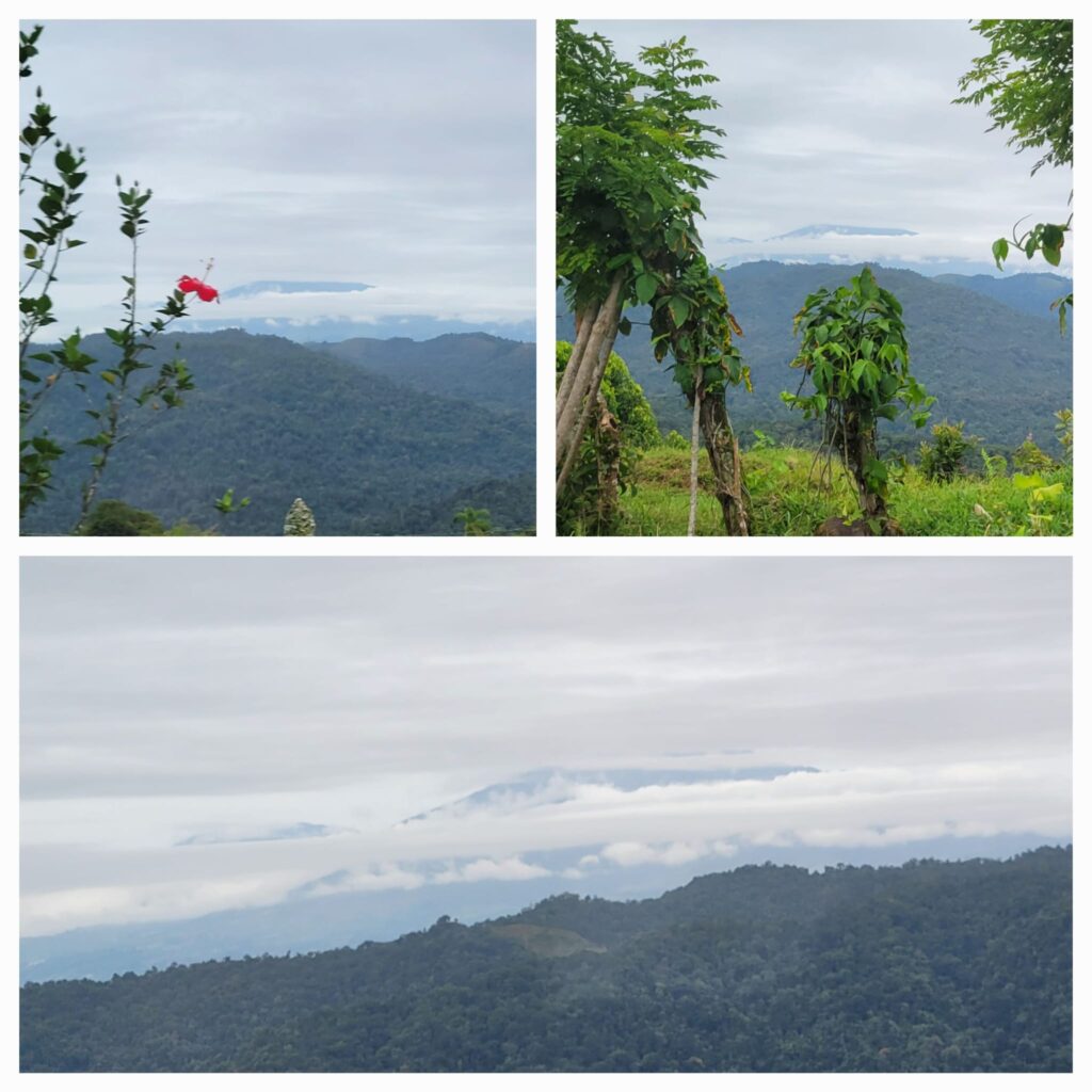 Landscape collage Costa Rica