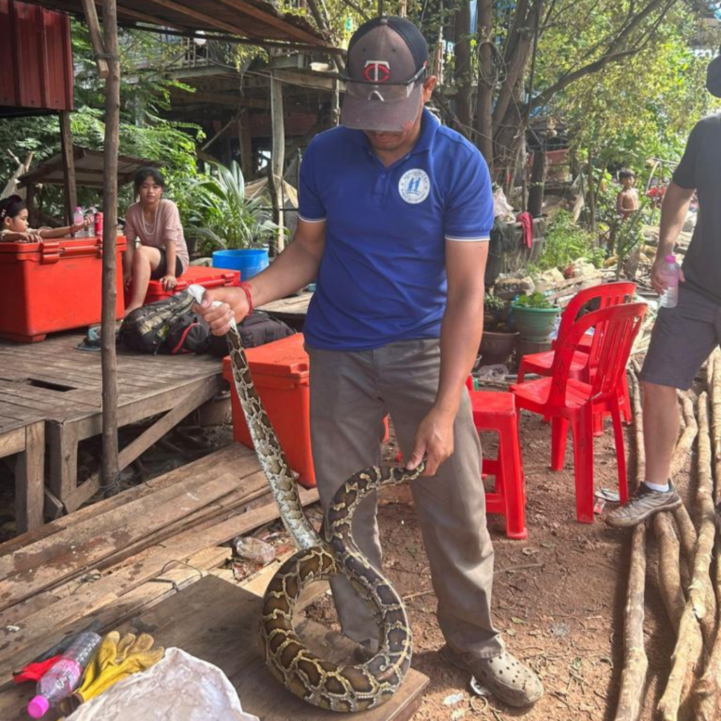 Snake at project site Cambodia