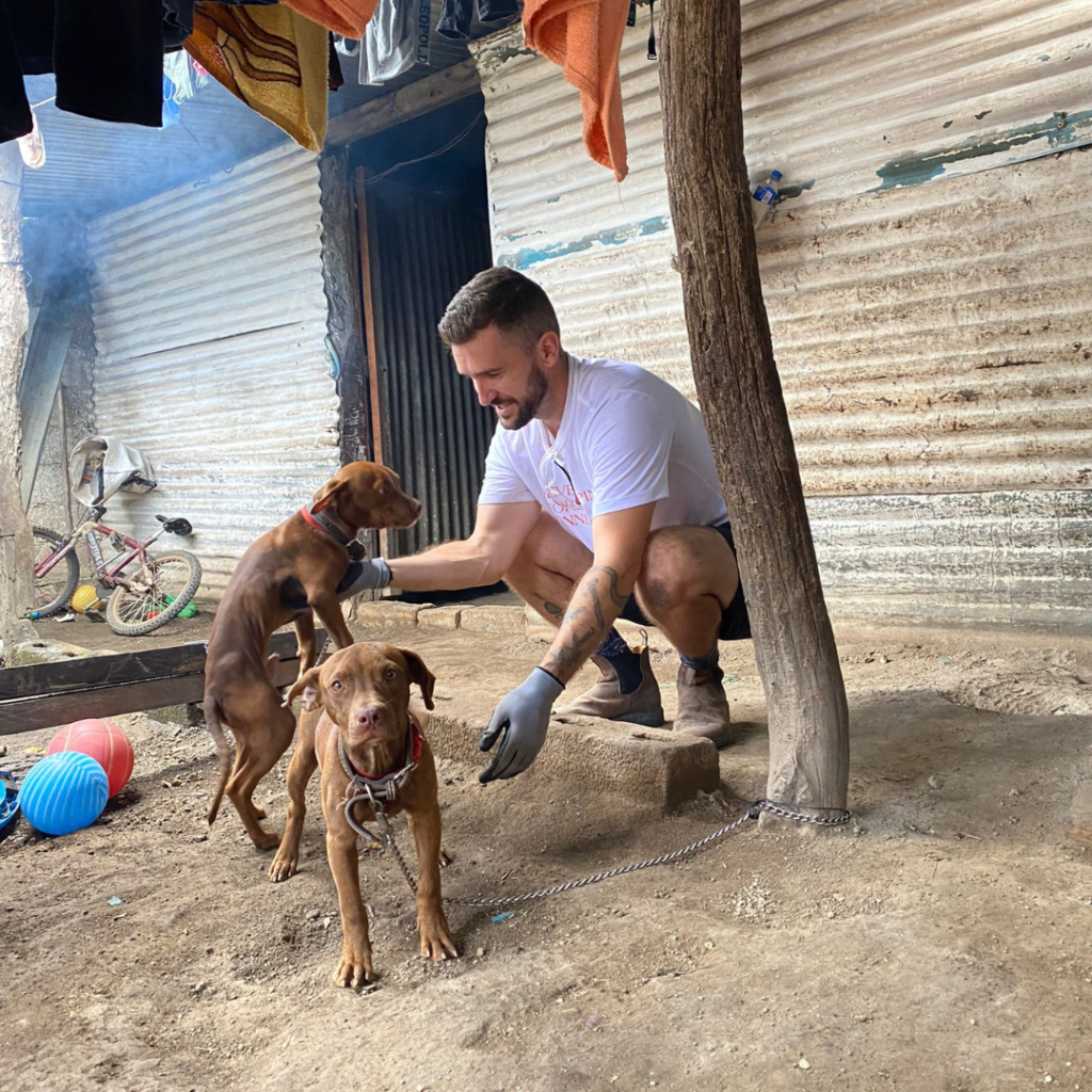 volunteer with dogs Guatemala