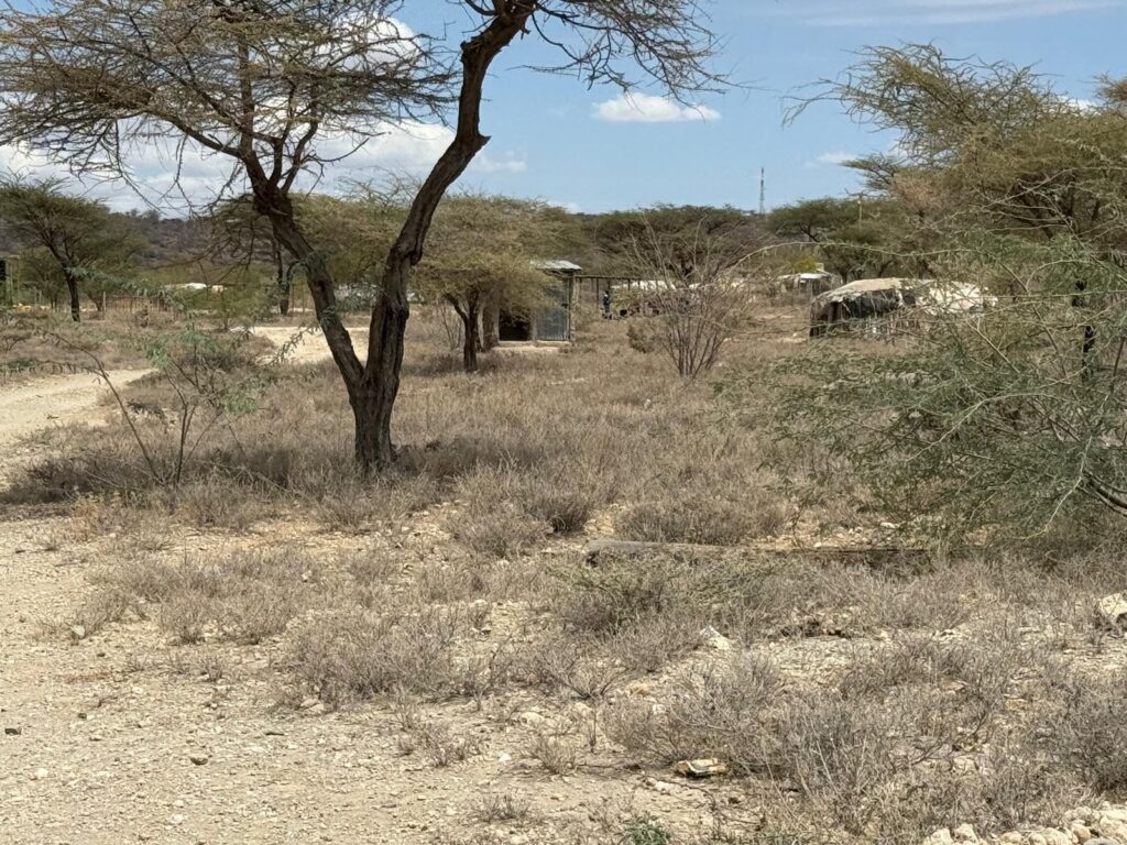 Manyattas traditional homes Kenya