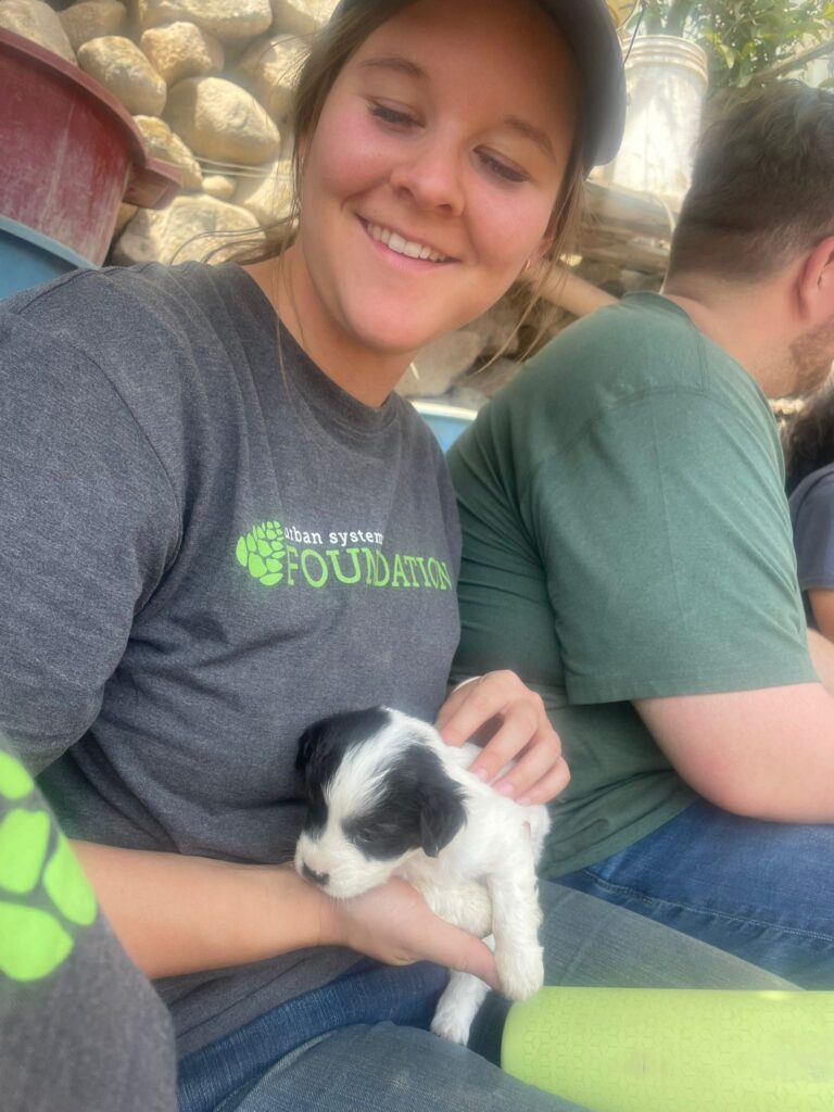 Volunteer holding puppy Peru